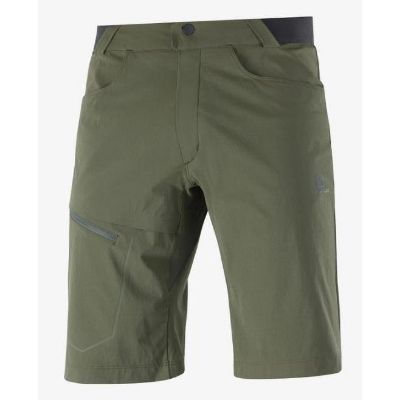 Salomon-Wayfarer-Herreshorts-86722.jpg