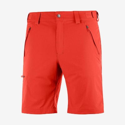 Salomon Wayfarer Herrshorts Red