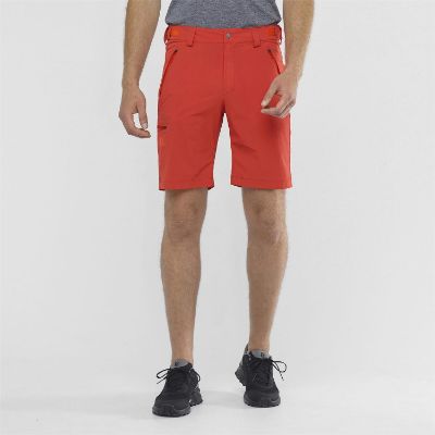 Salomon-Wayfarer-Shorts-80629.jpg