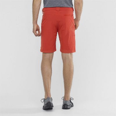 Salomon-Wayfarer-Shorts-80630.jpg