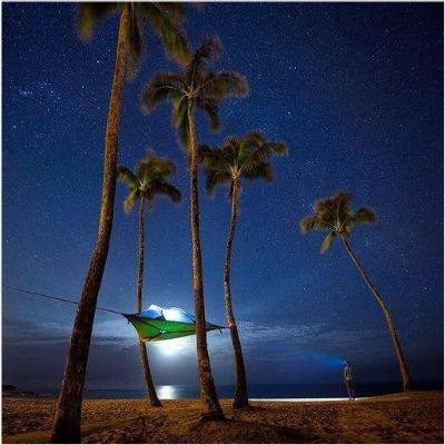 Tentsile Stingray 3-Person Tree Tent (3.0)
