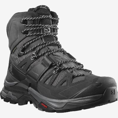 Salomon Quest 4 GTX Vandrestøvle Phantom / Black / Quiet Shade