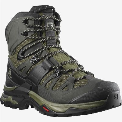 Salomon Quest 4 GTX Vandrestøvle Olive