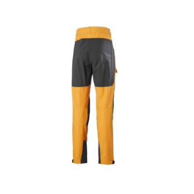 Helly-Hansen-Veir-Tur-Pant-87299.jpg