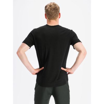 Fusion Mens Recharge Merino 220 T-shirt