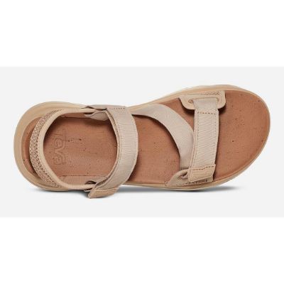 Teva W Zymic