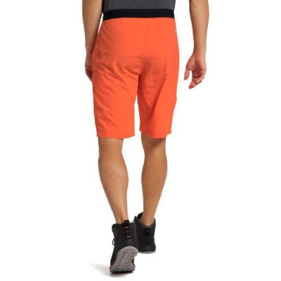 Haglofs-LIM-Strive-Lite-Shorts-Men-87526.jpg