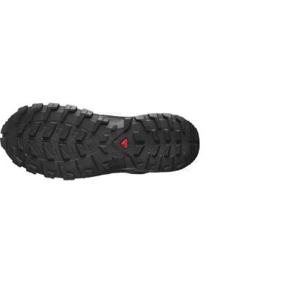 Salomon Xa Rogg 2 GTX W