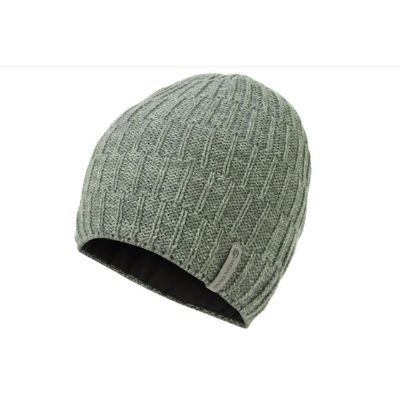 Montane Windjammer Halo Beanie Eucalyptus