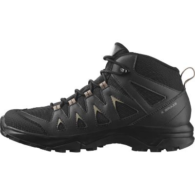 Salomon X Braze Mid GTX