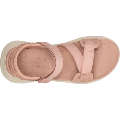 Teva W Zymic