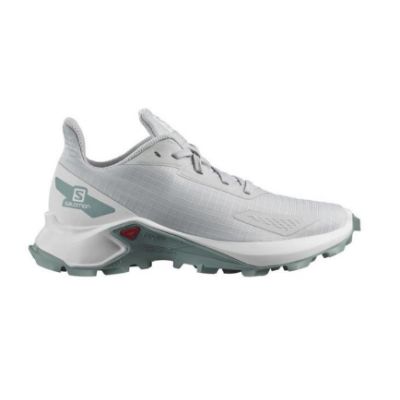 Salomon Alphacross Blast J Lunar Rock/ White / Stone Blue