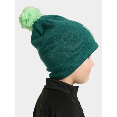 Didriksons Dropi Kids Beanie 