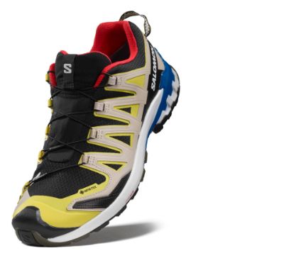 Salomon Xa Pro 3D V9 GTX
