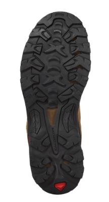 Salomon Quest Rove GTX