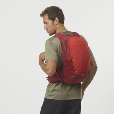 Salomon Trailblazer 20