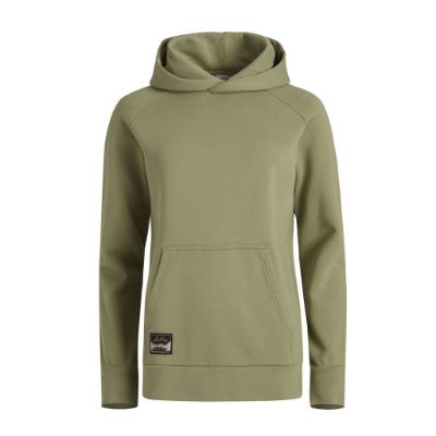 Lundhags Jarpen Hoodie W Lichen