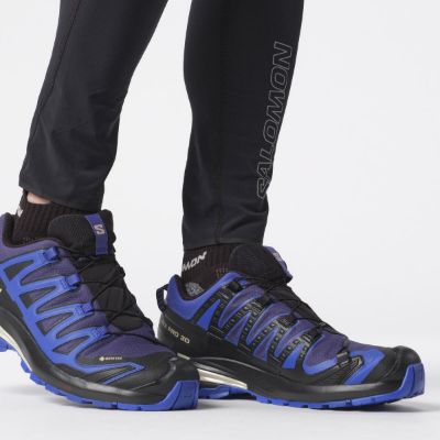 Salomon Xa Pro 3D V9 GTX