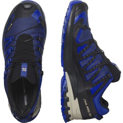 Salomon Xa Pro 3D V9 GTX