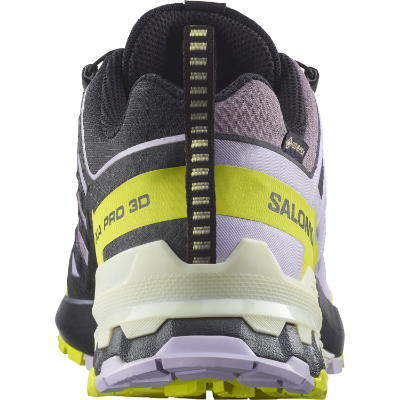 Salomon Xa Pro 3d V9 GTX W i farven Moonscape / Orchid Petal