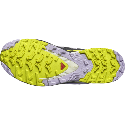 Salomon Xa Pro 3d V9 GTX W i farven Moonscape / Orchid Petal