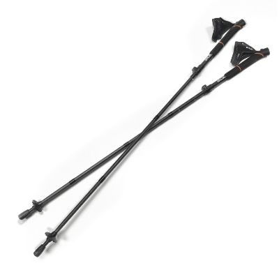 Running_Poles_Carbon_Adjust_38116_38242_main_1.jpg
